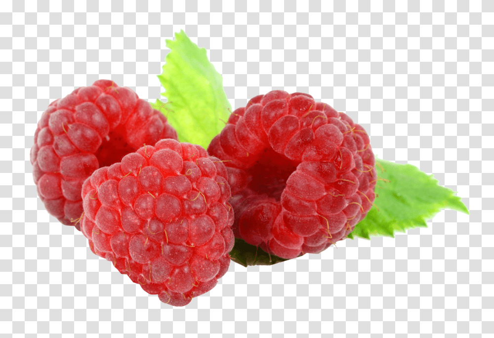 Raspberry, Fruit, Plant, Food Transparent Png