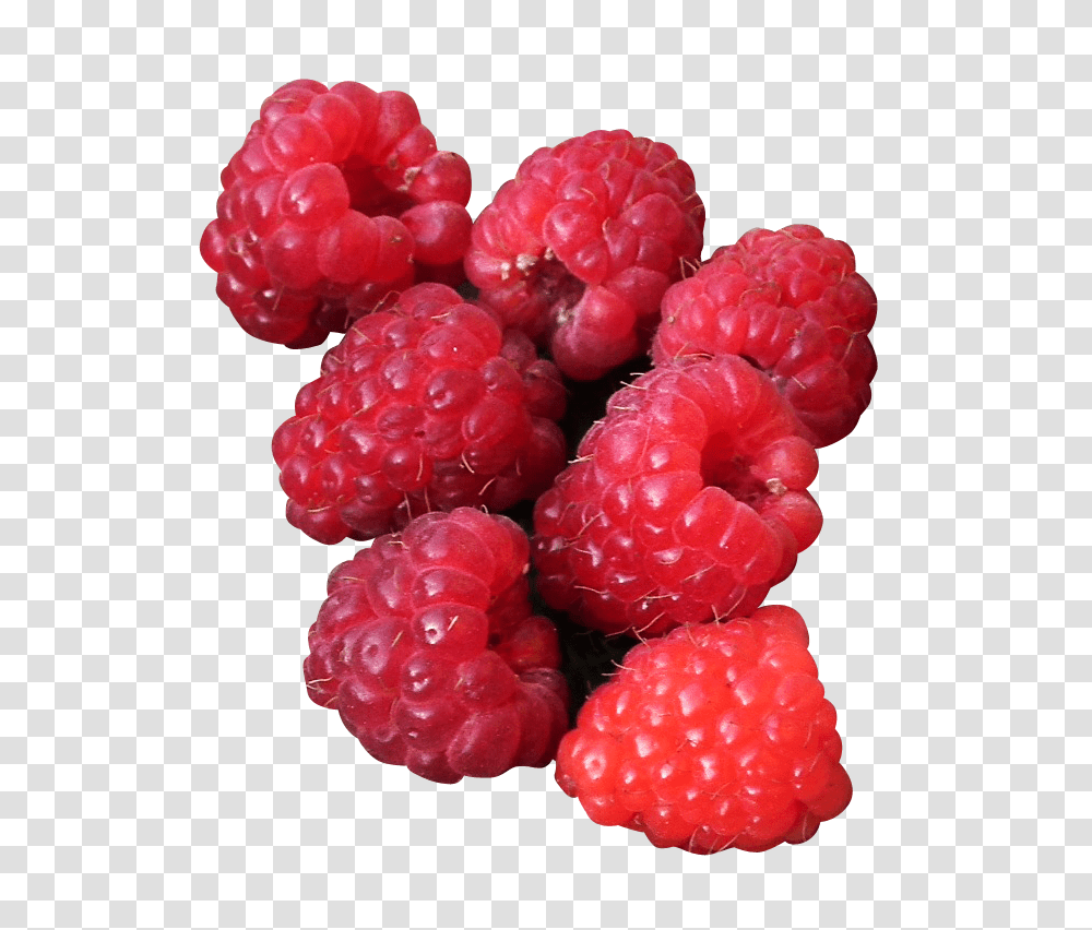 Raspberry, Fruit, Plant, Food Transparent Png