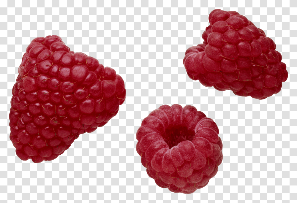 Raspberry, Fruit, Plant, Food Transparent Png