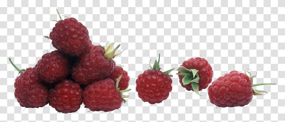 Raspberry, Fruit, Plant, Food Transparent Png