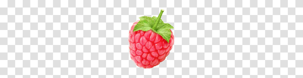 Raspberry, Fruit, Plant, Food Transparent Png