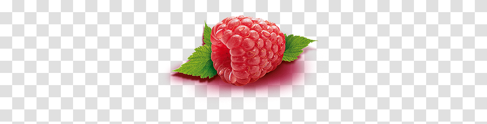 Raspberry, Fruit, Plant, Food Transparent Png