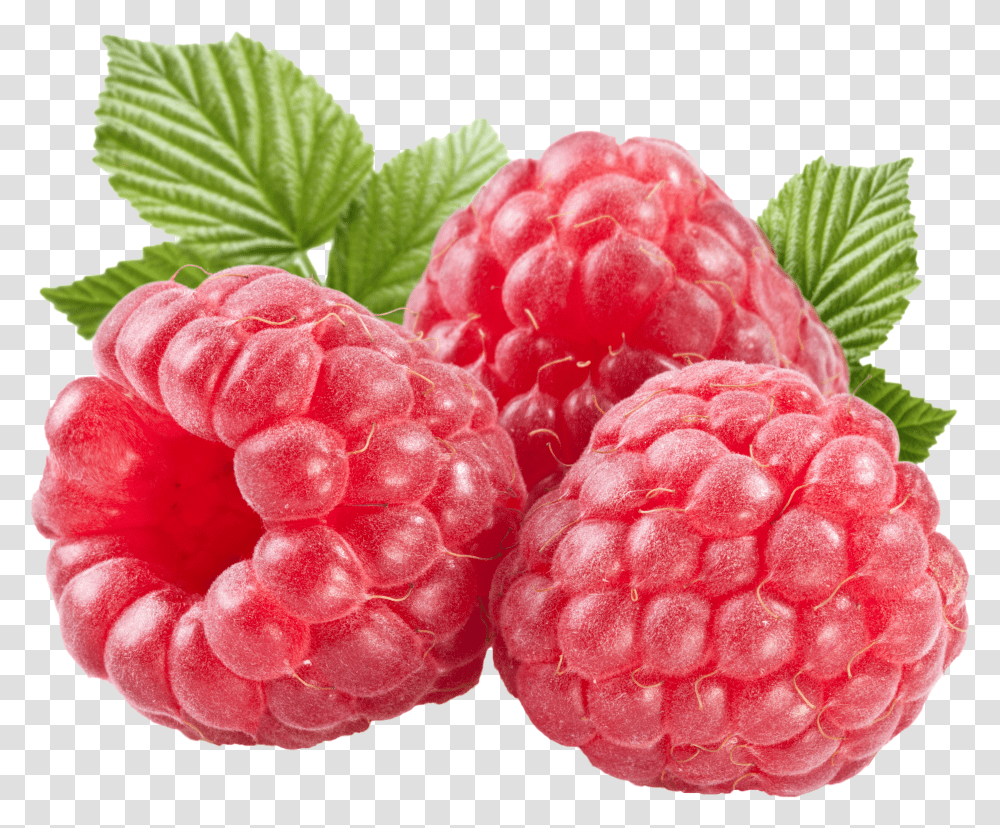 Raspberry, Fruit Transparent Png