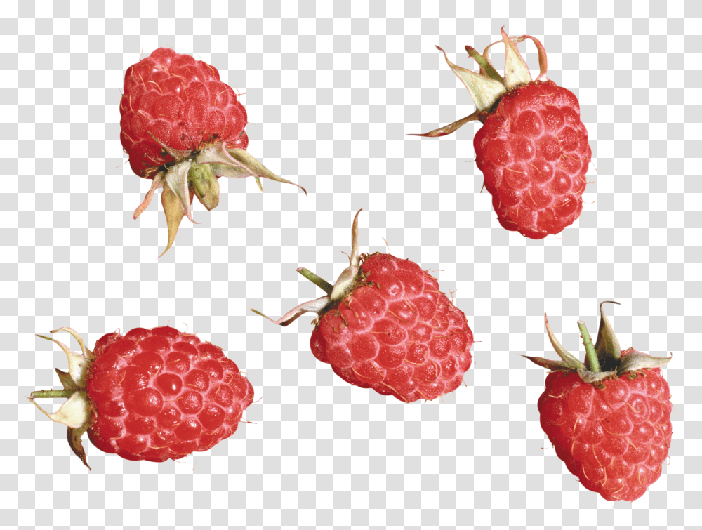 Raspberry, Fruit Transparent Png