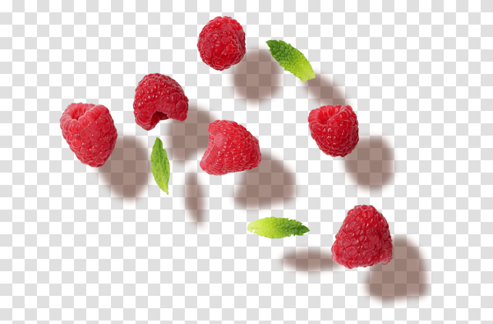 Raspberry Frutti Di Bosco, Fruit, Plant, Food Transparent Png