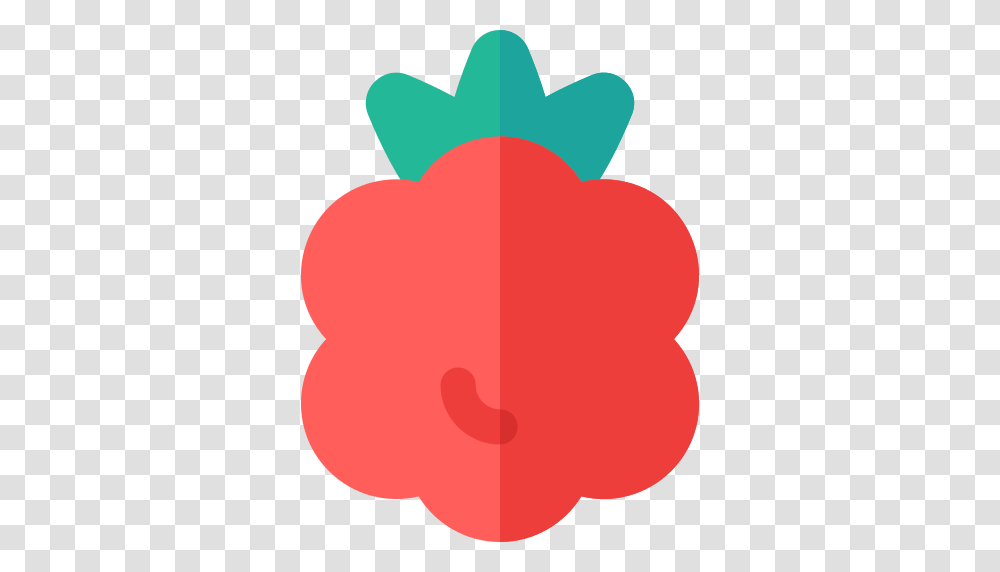 Raspberry Icon, Plant, Flower, Blossom, Pattern Transparent Png