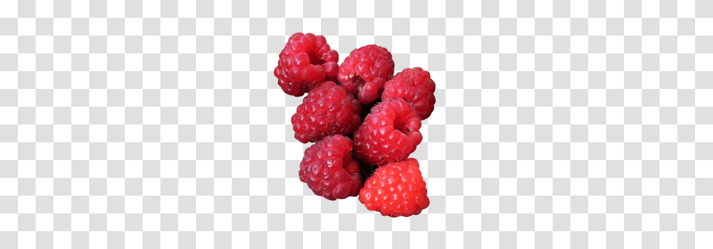 Raspberry Image, Fruit, Plant, Food, Rose Transparent Png