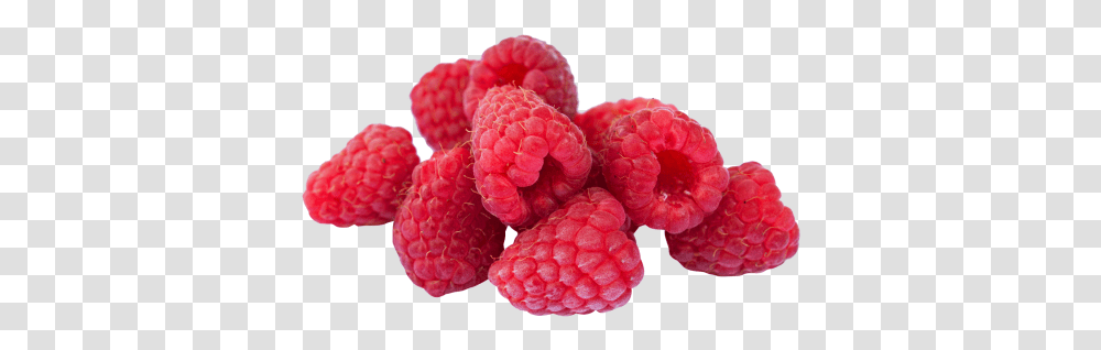 Raspberry Image Raspberry, Fruit, Plant, Food, Rose Transparent Png