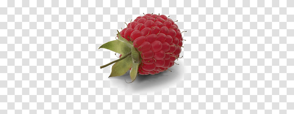 Raspberry Image With Background, Fruit, Plant, Food, Birthday Cake Transparent Png