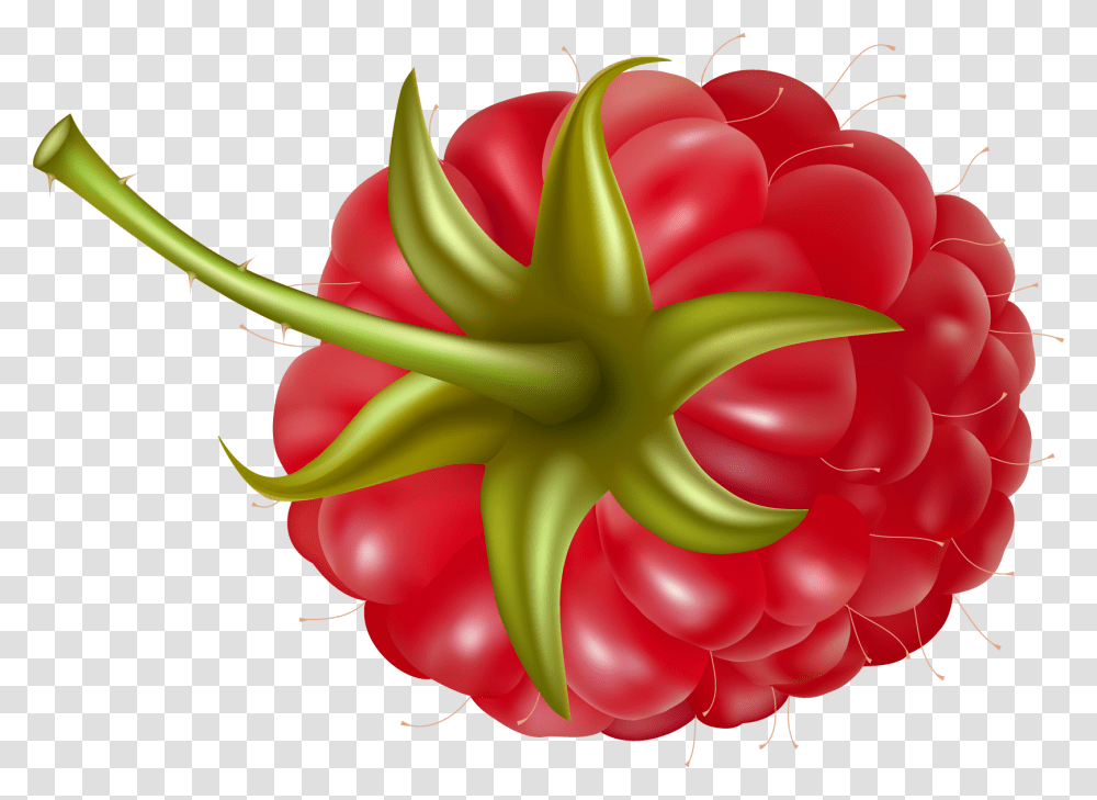 Raspberry Images Free Pictures Download, Plant, Food, Fruit, Strawberry Transparent Png