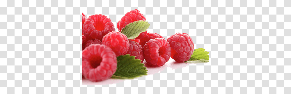 Raspberry Images Raspberry, Fruit, Plant, Food, Sweets Transparent Png