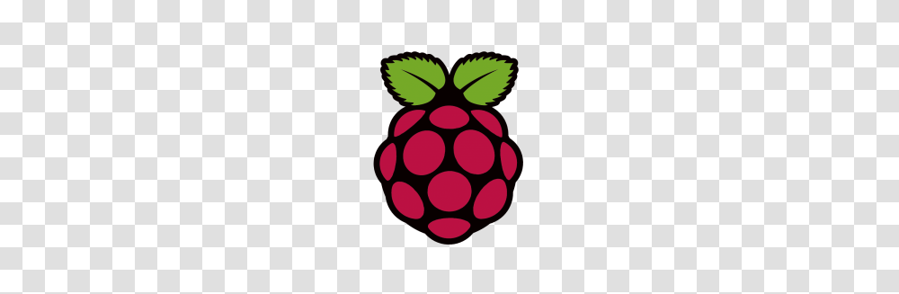 Raspberry Logo, Plant, Fruit, Food, Strawberry Transparent Png