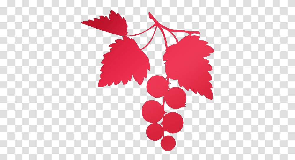 Raspberry Logo, Plant, Grapes, Fruit, Food Transparent Png