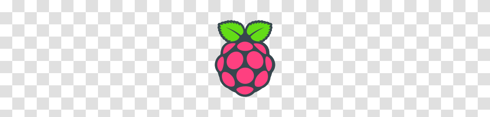 Raspberry Pi Icon, Fruit, Plant, Food, Strawberry Transparent Png