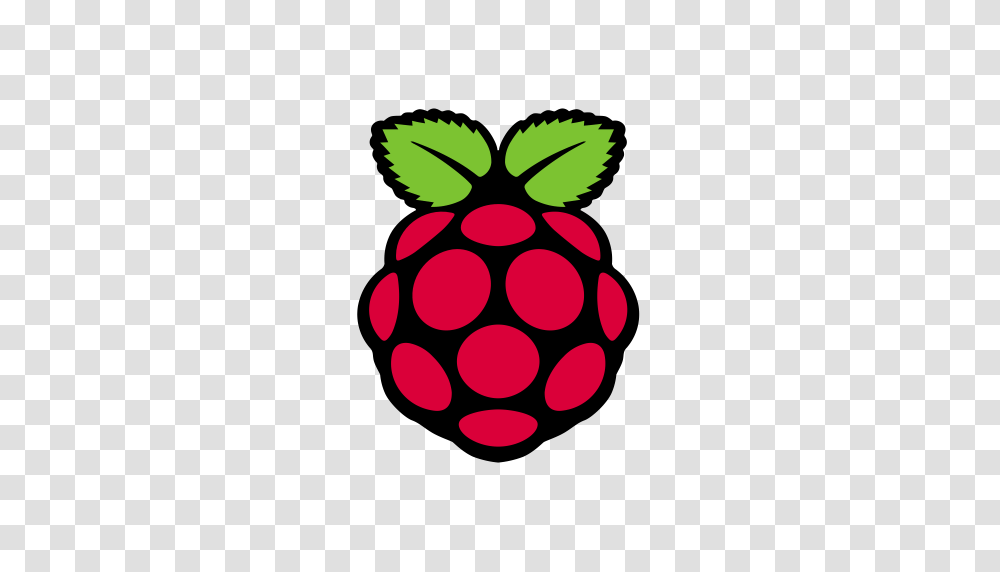 Raspberry Pi Icon With And Vector Format For Free Unlimited, Plant, Fruit, Food, Dynamite Transparent Png