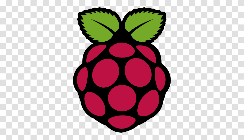 Raspberry Pi Logo, Plant, Fruit, Food, Grapes Transparent Png
