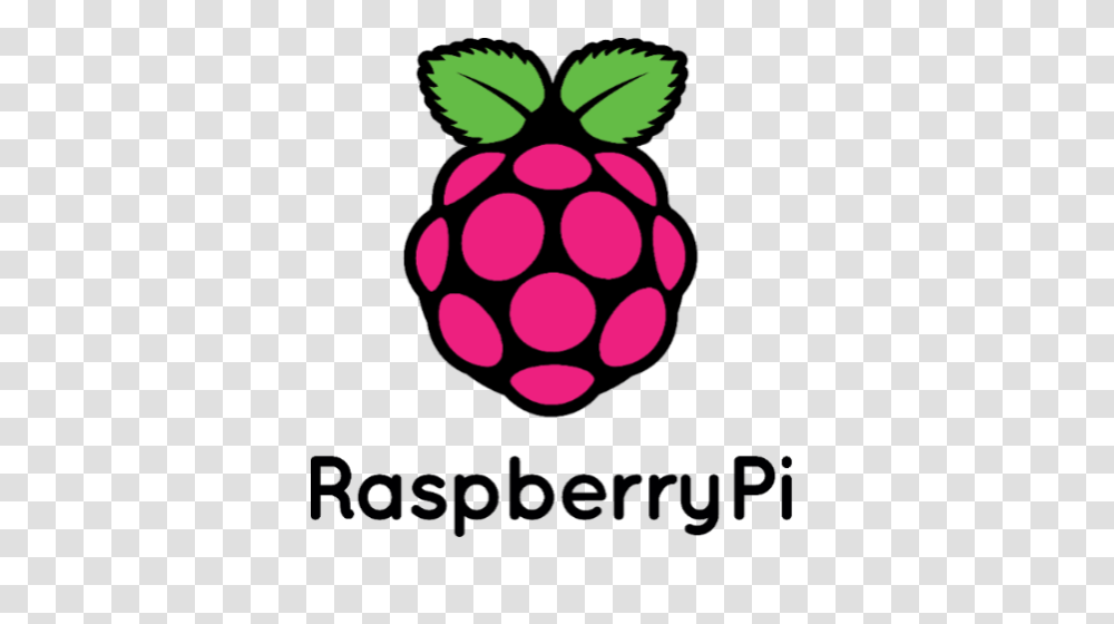 Raspberry Pi Raspberry Pi Images, Plant, Fruit, Food, Pineapple Transparent Png