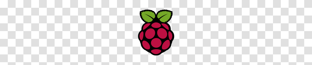 Raspberry Pi What Is The Pi Anyway Make, Fruit, Plant, Food, Dynamite Transparent Png