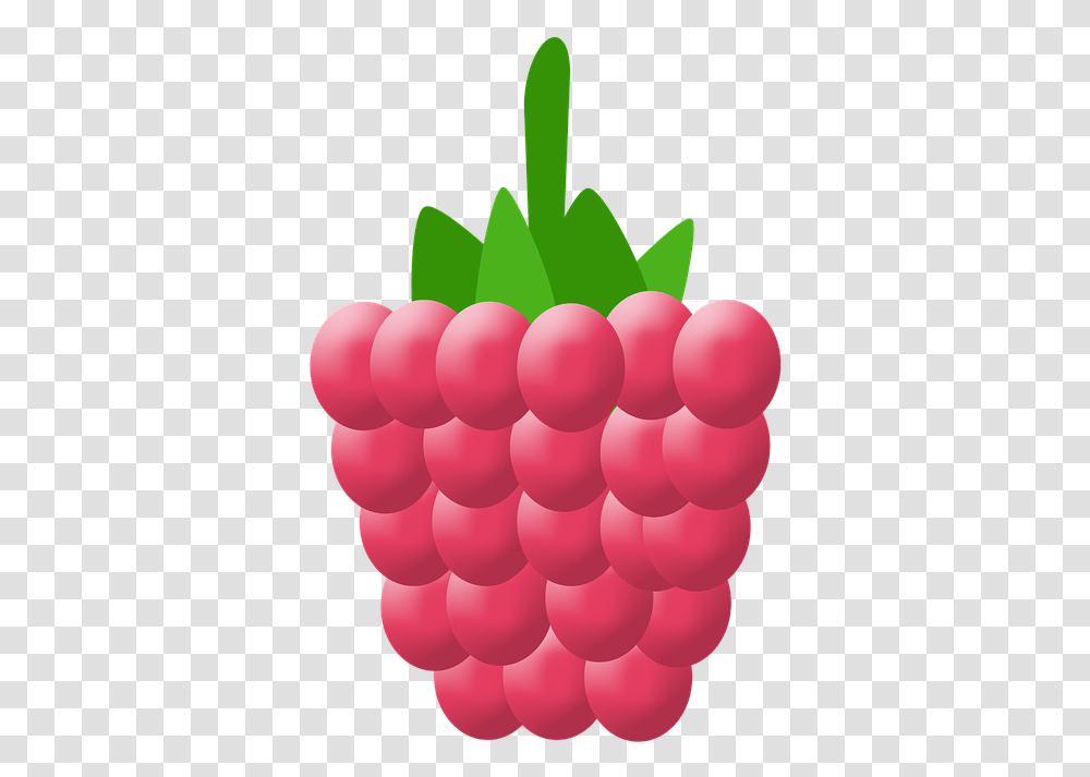 Raspberry, Plant, Balloon, Fruit, Food Transparent Png