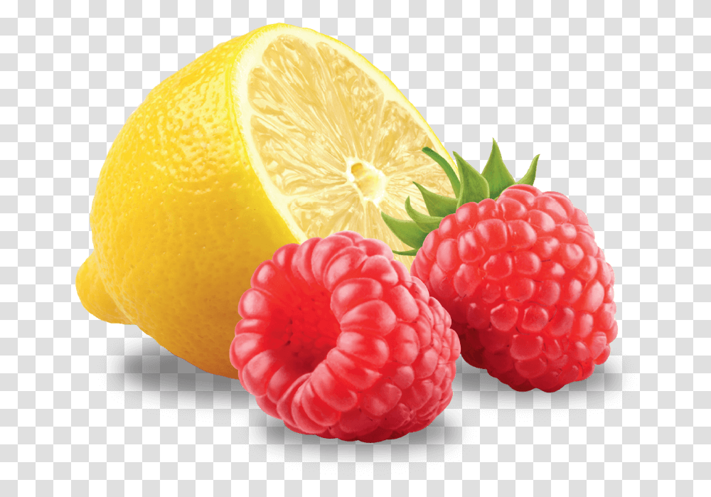 Raspberry, Plant, Fruit, Food, Citrus Fruit Transparent Png