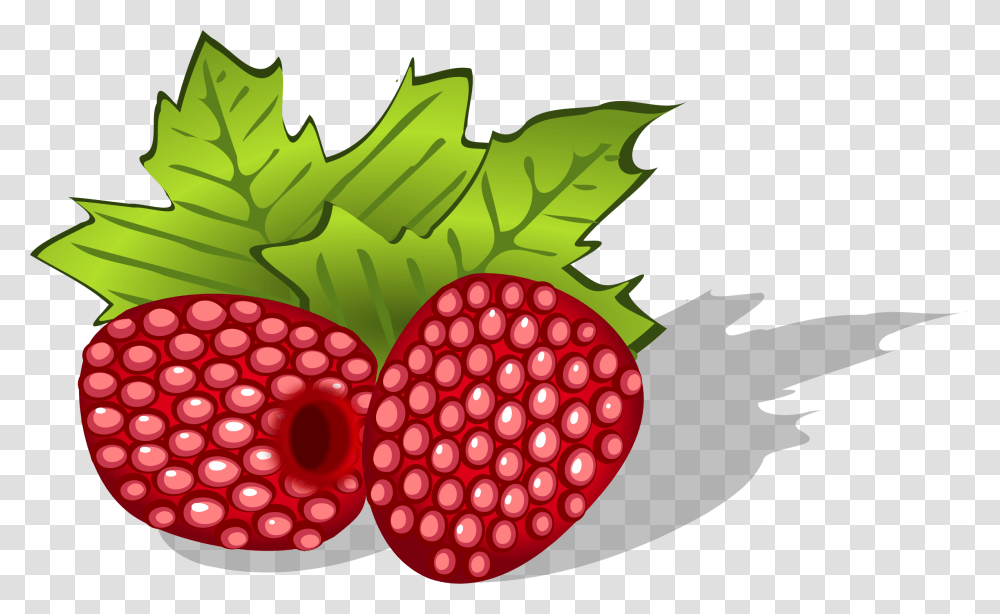 Raspberry, Plant, Fruit, Food, Strawberry Transparent Png