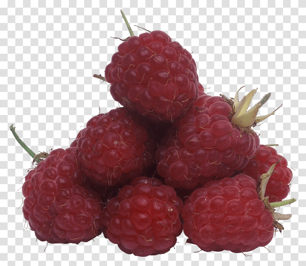 Raspberry Raspberry Transparent Png