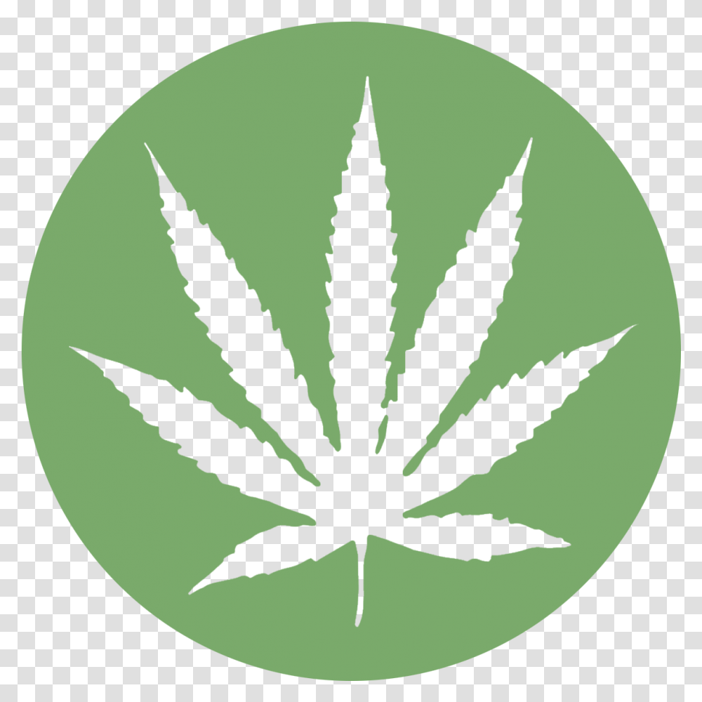 Rasta Color Weed Leaf Background Cannabis Leaf, Plant, Green, Symbol, Flower Transparent Png