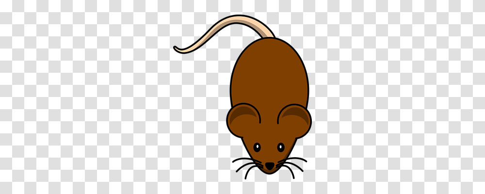 Rat Animals, Wasp, Bee, Insect Transparent Png