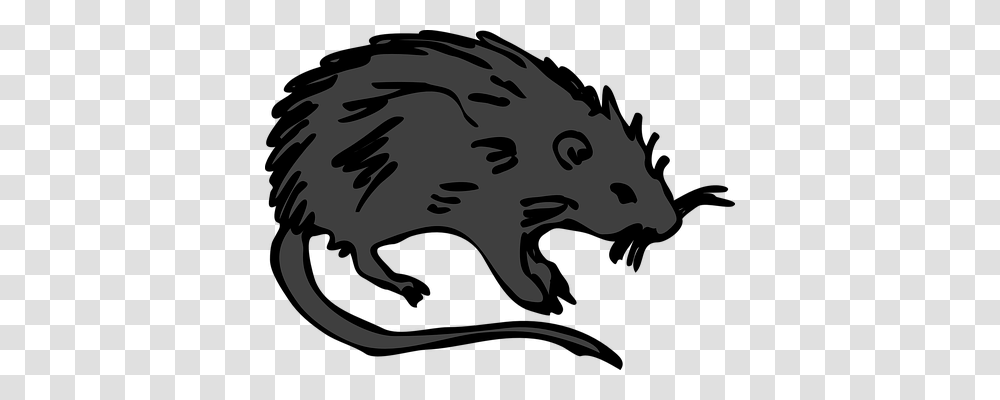 Rat Animals, Stencil, Mammal Transparent Png