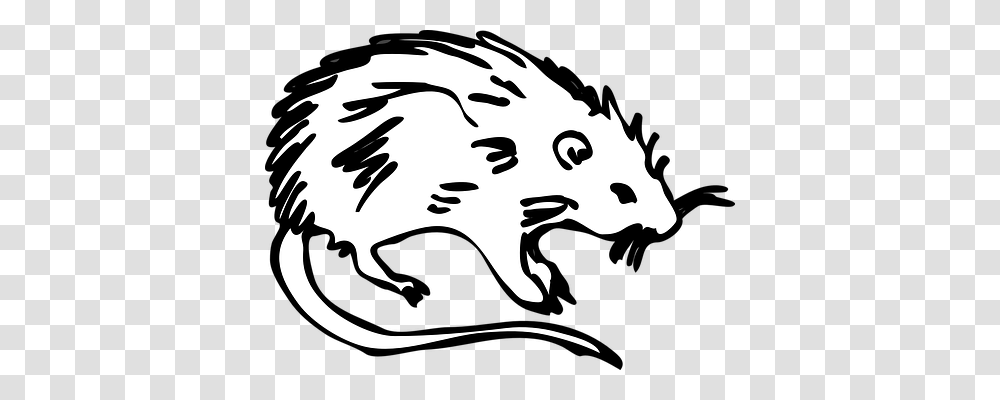 Rat Animals, Stencil, Mammal, Rodent Transparent Png