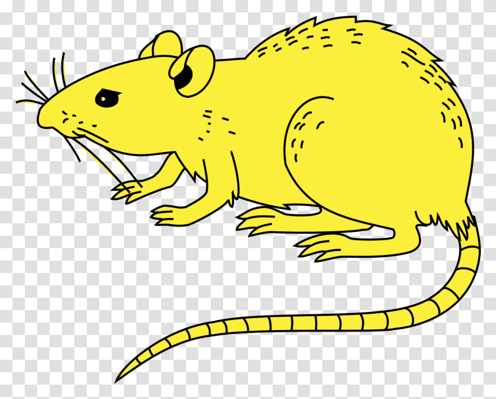 Rat, Animal, Mammal, Rodent, Reptile Transparent Png