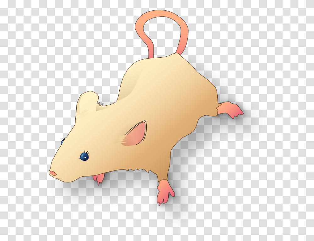 Rat, Animal, Mammal, Rodent, Snowman Transparent Png