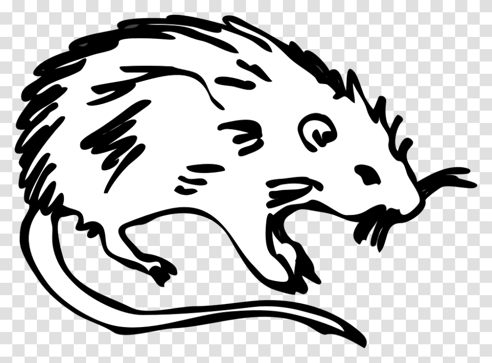 Rat Animal Rodent Mouse Cute White Pest Tail Cartoon The Black Death Rats, Stencil, Mammal Transparent Png
