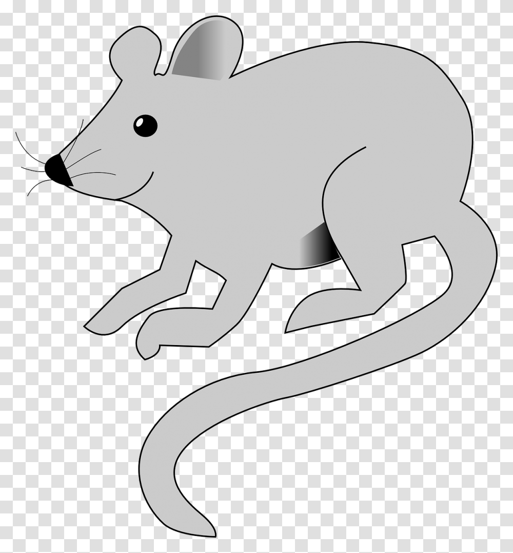Rat Animation, Axe, Tool, Animal, Mammal Transparent Png
