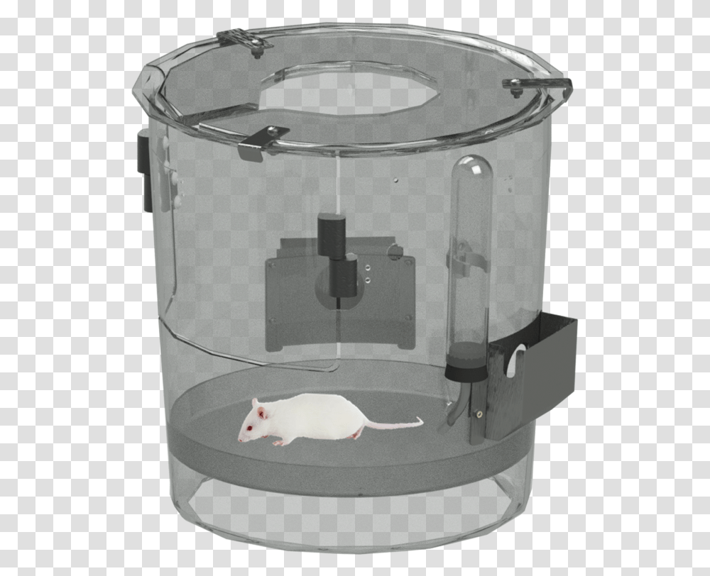Rat, Appliance, Cat, Pet, Mammal Transparent Png