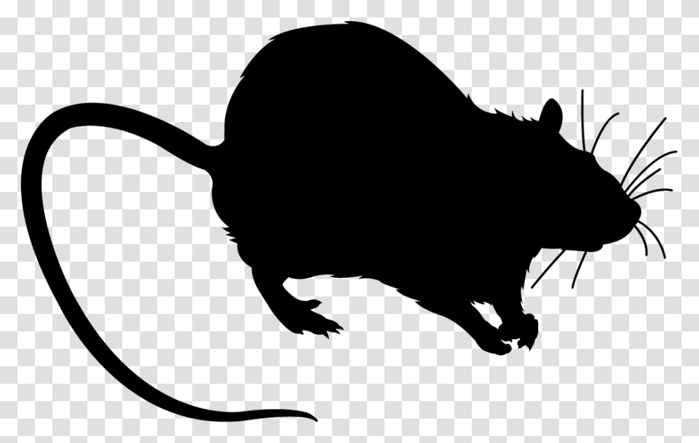 Rat Black Silhouette Krisa Siluet, Mammal, Animal, Rodent, Wildlife Transparent Png