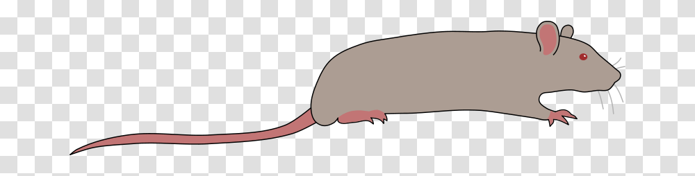 Rat By Rones, Animals, Mammal, Rodent, Fish Transparent Png