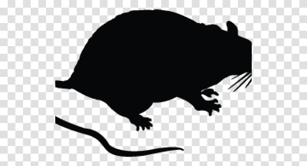 Rat Cartoon Black, Mammal, Animal, Beaver, Wildlife Transparent Png