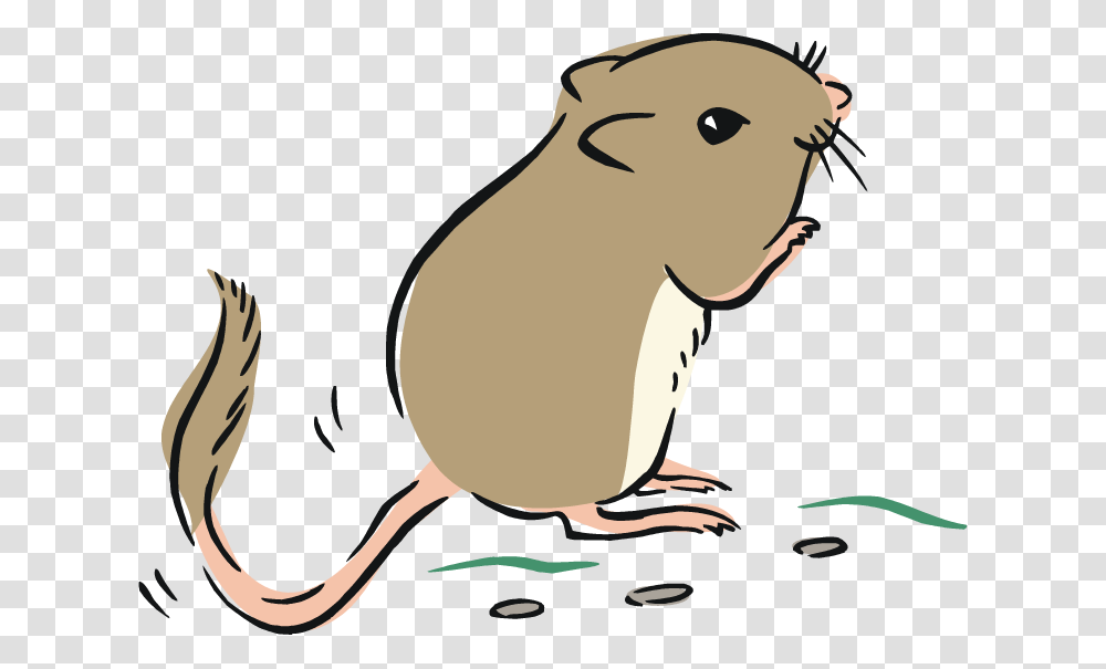 Rat Clip Art Cartoon, Animal, Rodent, Mammal, Beaver Transparent Png