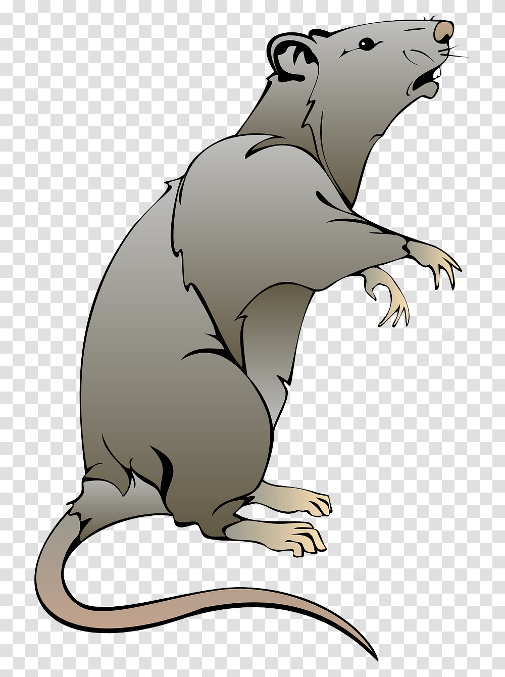 Rat Clipart, Animal, Dinosaur, Reptile, Mammal Transparent Png