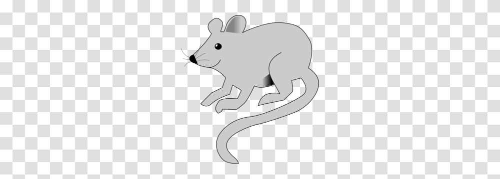 Rat Clipart Grey Mouse, Animal, Mammal, Rodent, Wildlife Transparent Png