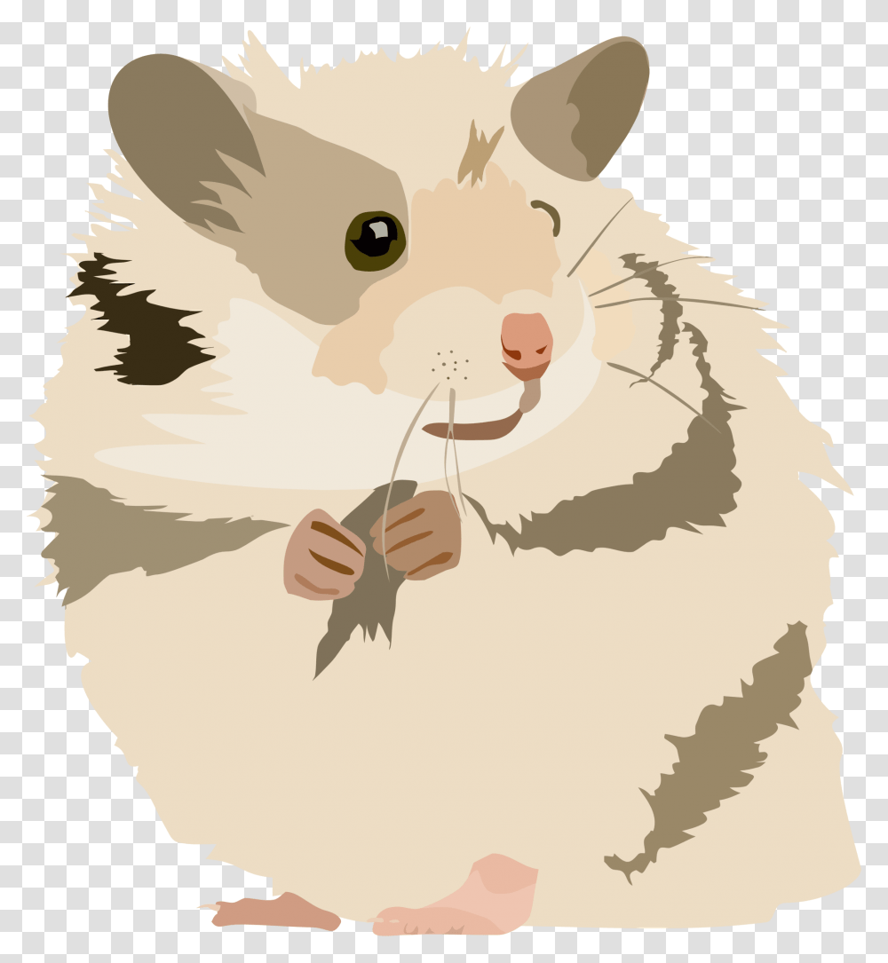 Rat Clipart Hamster Clipart, Rodent, Mammal, Animal, Pet Transparent Png