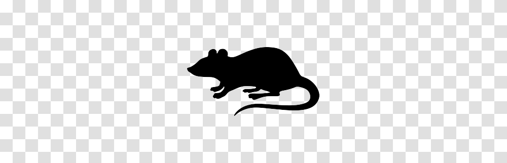 Rat Clipart, Mammal, Animal, Rodent, Wildlife Transparent Png