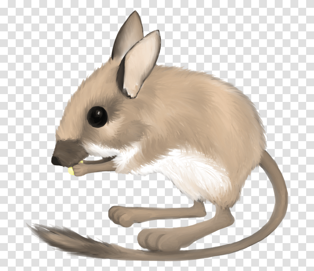 Rat Clipart Mouse, Bird, Animal, Rodent, Mammal Transparent Png