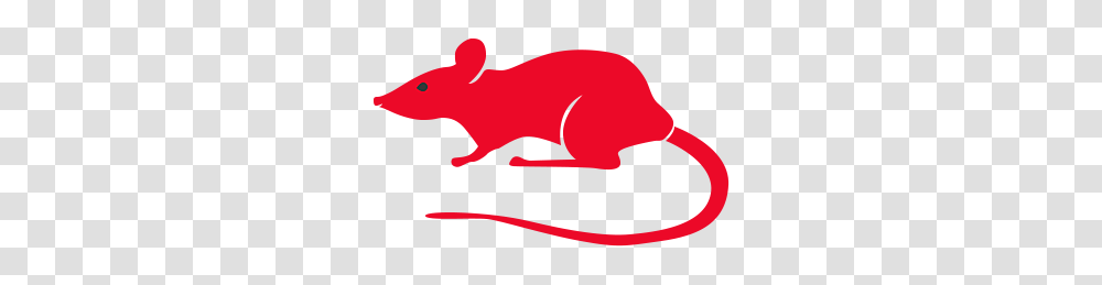 Rat Clipart Smart, Mammal, Animal, Rodent, Wildlife Transparent Png