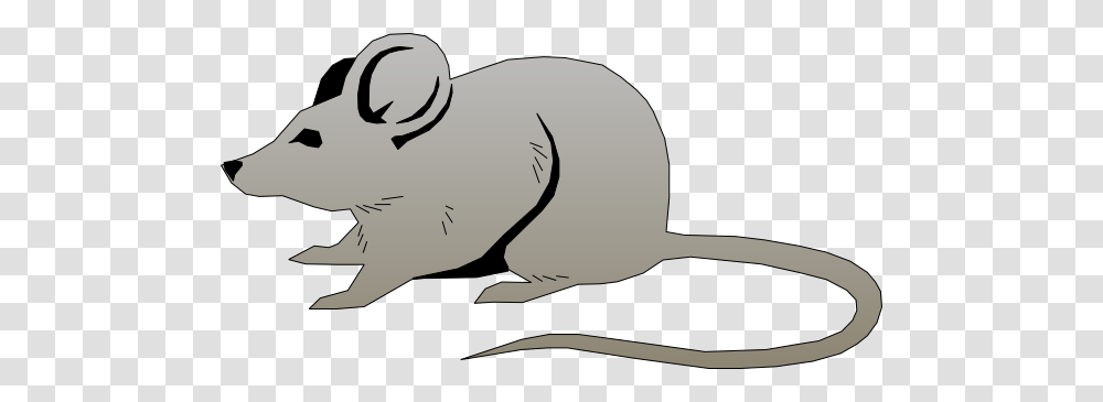 Rat Cliparts, Mammal, Animal, Baseball Cap, Hat Transparent Png