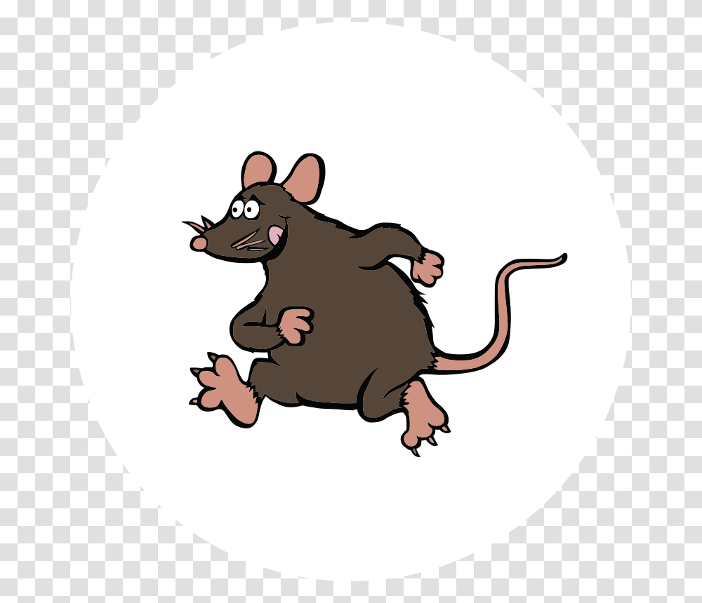 Rat Control Icon Kangaroo Rat, Mammal, Animal, Rodent, Mole Transparent Png
