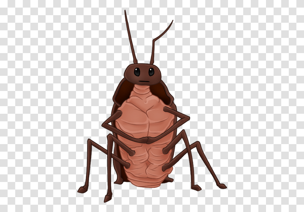 Rat Gregor The Overlander Gregor The Overlander Cockroaches, Insect, Invertebrate, Animal, Toy Transparent Png