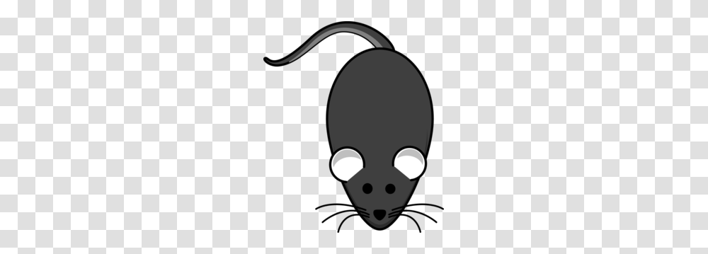 Rat Grey Dark Clip Art, Face, Head, Pillow, Cushion Transparent Png