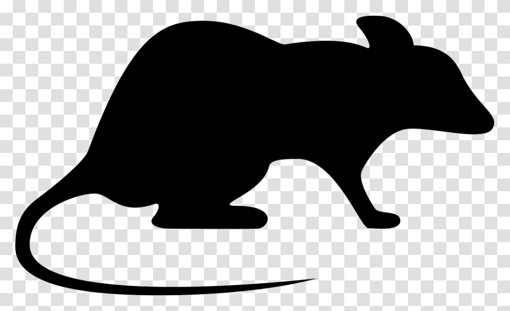Rat Looking Right Icon Free Download, Silhouette, Mammal, Animal, Cat Transparent Png